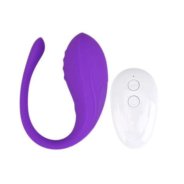 Remote Controlled Love Egg Vibrator
