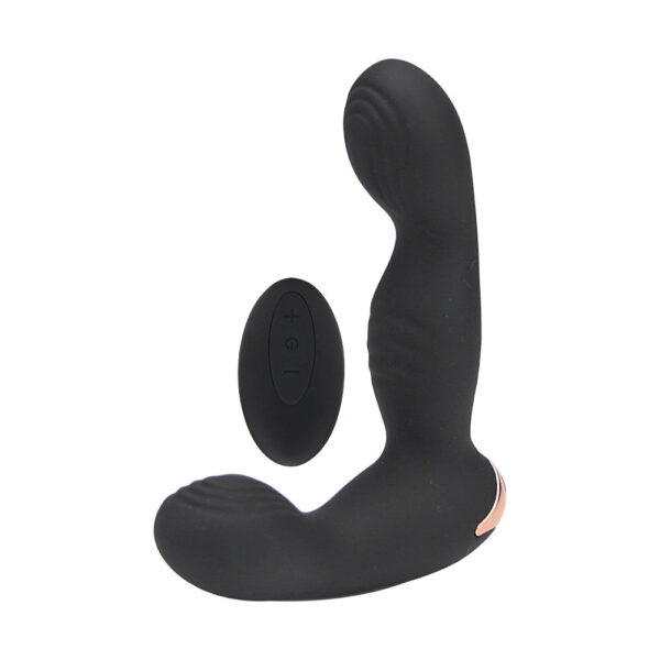 Pro 10 Function Remote Controlled Prostate Massager